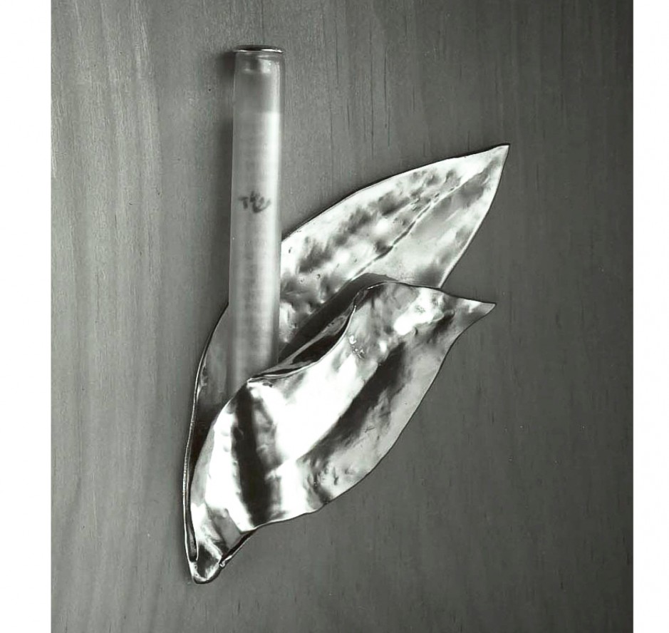 MEZZUZAH: 7 SPECIES